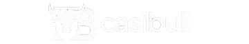 CasiBulls Logo